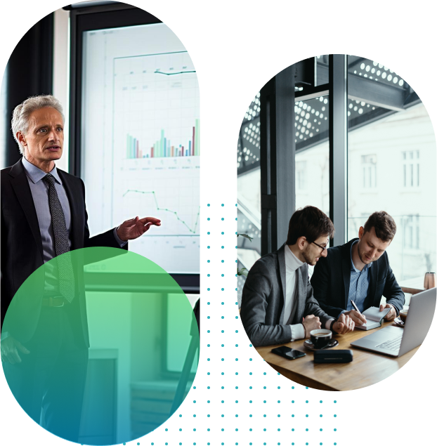 IT Consultancy Services